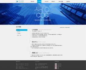 企業(yè)網(wǎng)站設(shè)計與企業(yè)策劃 構(gòu)建成功的在線品牌體系